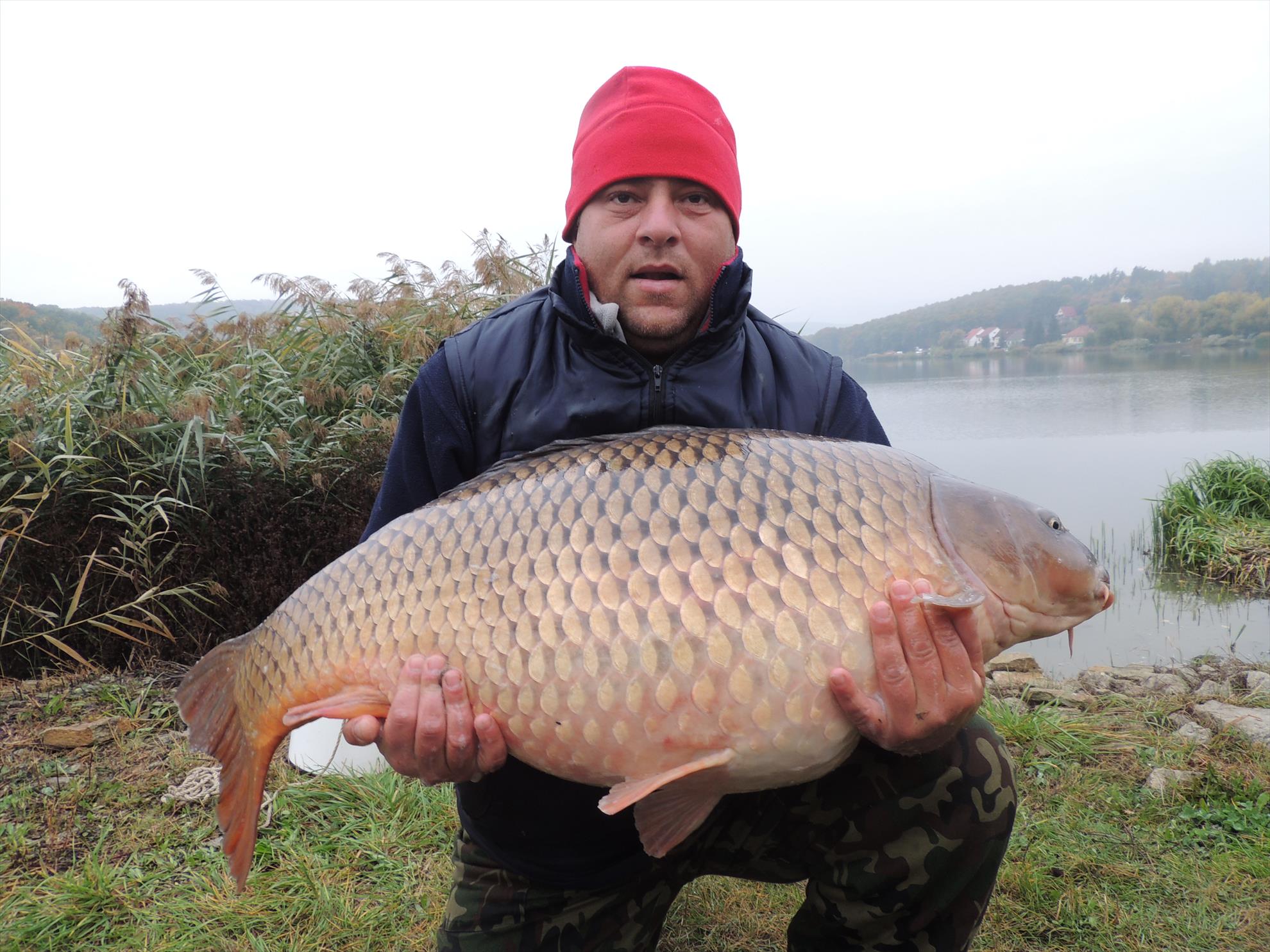 harsany 2013 - dscn0206.JPG